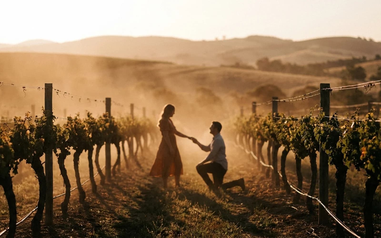 Vineyard proposal at golden hour in a Queensland winery